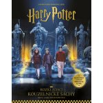 Harry Potter: Rozkládací kouzelnické šachy – Hledejceny.cz