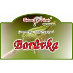Bylinné kapky Borůvka tinktura z pupenů 50 ml – Hledejceny.cz