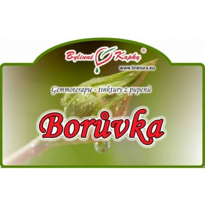 Bylinné kapky Borůvka tinktura z pupenů 50 ml – Hledejceny.cz