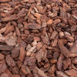 Kameny.cz Piniová kůra – Zboží Mobilmania