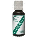 Karel Hadek Jedle - Šišky Éterický olej 10 ml – Hledejceny.cz