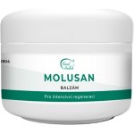 Karel Hadek Molusan balzám na molusky 50 ml – Zboží Dáma