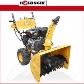 Holzinger HSF110(LE) 11PS