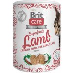 Brit Care Snack Superfruits Lamb Adult 100 g – Zboží Mobilmania