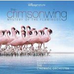 Cinematic Orchestra - The Crimson Wing - Mystery of the Flamingos - RSD2020 LP - Vinyl – Sleviste.cz