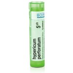 HYPERICUM PERFORATUM POR 5CH GRA 1X4G – Hledejceny.cz