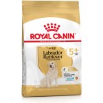 Royal Canin Breed Labrador Retriever Adult 5+ 12 kg – Sleviste.cz