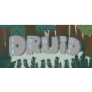 Druid