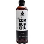Puhdistamo Kombucha BIO 370 ml ginger lemon Bio Kombucha zázvor-citrón – Hledejceny.cz