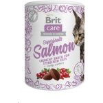 Brit Care Cat Snack Superfruits Salmon 100 g – Zboží Mobilmania