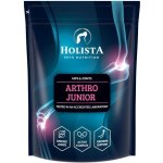 Holista Arthro Junior 600 g – Hledejceny.cz