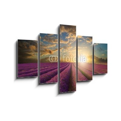 Obraz 5D pětidílný - 150 x 100 cm - Vibrant Summer sunset over lavender field landscape Vibrantní letní západ slunce nad levandule krajiny – Hledejceny.cz