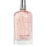 L´Occitane Cherry Blossom toaletní voda dámská 75 ml – Hledejceny.cz