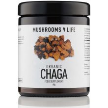 Mushrooms4Life Houba Chaga v prášku 60 g