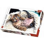 Trefl 10448 Veselé kotě 1000 dílků – Hledejceny.cz
