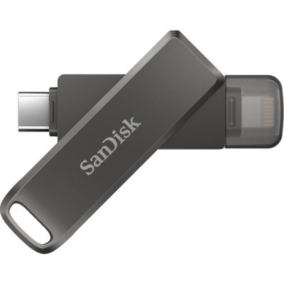 SanDisk iXpand Luxe 256GB SDIX70N-256G-GN6NE – Zbozi.Blesk.cz