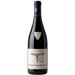 Weingut Fridrich Becker Rulandské modré červené 2017 13% 0,75 l (holá láhev) – Hledejceny.cz
