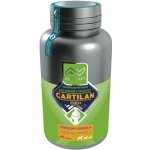 Altervet Cartilan CBD+ 60 g 40 tbl – Sleviste.cz