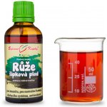 Bylinné kapky Růže šípková 50 ml – Hledejceny.cz