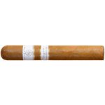ROCKY PATEL VINTAGE 1999 ROBUSTO – Zboží Mobilmania
