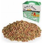 Apetit krmivo pro vodní ptactvo Ducks&Swans 500 g – Zboží Dáma