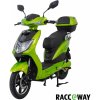 Elektrická motorka Racceway E-Fichtl 250W 12Ah zelená metalická