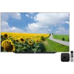 Loewe bild s.77 – Zboží Živě