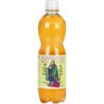 Stevikom Kombucha Meduňka 0,5 l – Zboží Dáma