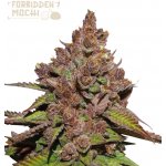 Seedstockers Superior Forbidden Mochi Fast semena neobsahují THC 3 ks – Sleviste.cz