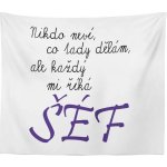 Sablio Deka Nikdo neví co tady dělám ale každý mi říká šéf 150x120 – Hledejceny.cz