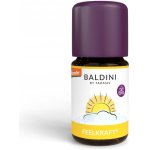 Taoasis Baldini Směs éterických olejů FeelPower BIO 5 ml – Hledejceny.cz
