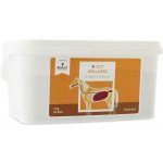 RESULT EQUINE R Gut Wellness 2 kg – Hledejceny.cz