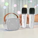 Northix Přenosná sada karaoke s bezdrátovými mikrofony – Hledejceny.cz