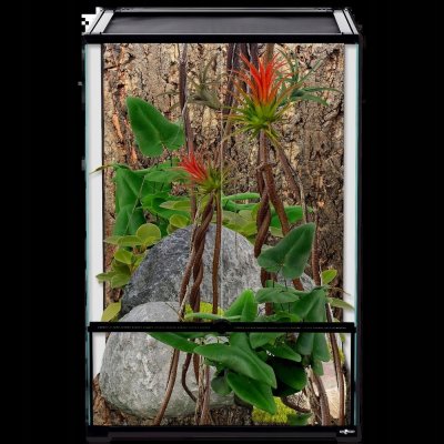 Repti Planet Natur 60 x 45 x 90 cm – HobbyKompas.cz