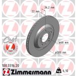 Brzdový kotouč ZIMMERMANN 100.3316.20