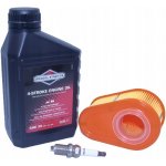 Briggs & Stratton SAE 30 600 ml – Sleviste.cz