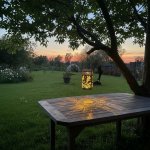 Solární lucerna Zlatí motýli – Zbozi.Blesk.cz