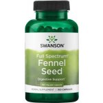 Swanson Fennel Seed 480 mg 100 kapslí – Hledejceny.cz
