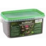 Diversa Nutriplant 5 l – Zboží Dáma