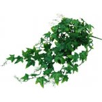 Lucky Reptile Jungle Plants Ivy Bush 50 cm – Zboží Dáma