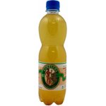 Stevikon kombucha hloh 0,5 l – Zboží Dáma