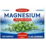 TEREZIA MAGNESIUM + vitamin B6 a meduňka Limitovaná edice 120 + 30 kapslí – Hledejceny.cz