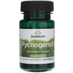 Swanson Pycnogenol 50 mg 50 kapslí – Hledejceny.cz