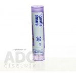 IGNATIA AMARA POR 30CH GRA 1X4G – Hledejceny.cz