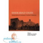 Sherabad Oasis: Tracing Historical Landscape in Southern Uzbekistan - Ladislav Stančo – Sleviste.cz