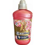Coccolino aviváž Honeysuckle & Sandalwood 51 PD 1,275 l – Zboží Mobilmania