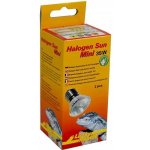Lucky Reptile Halogen Sun Mini 35 W Double Pack – Zboží Dáma