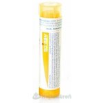 SULFUR IODATUM POR 15CH GRA 4G – Hledejceny.cz