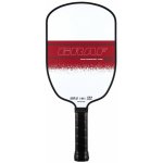 JOOLA Graf Champion 12 Pickleball Paddle – Zbozi.Blesk.cz