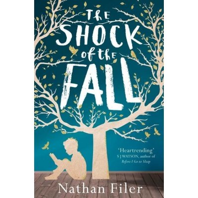 Shock of the Fall